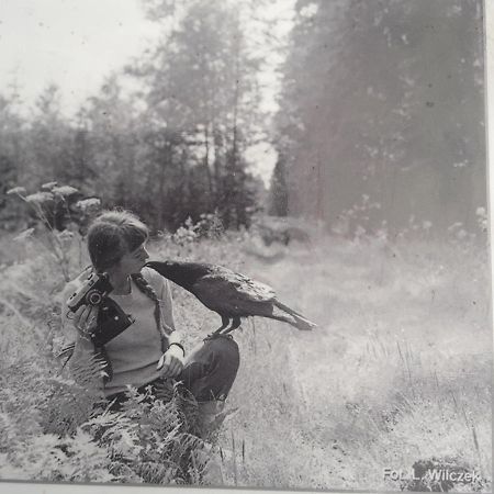 In Nature Białowieża Екстериор снимка