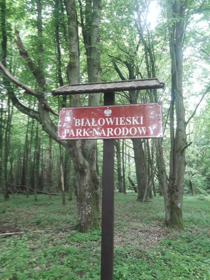 In Nature Białowieża Екстериор снимка