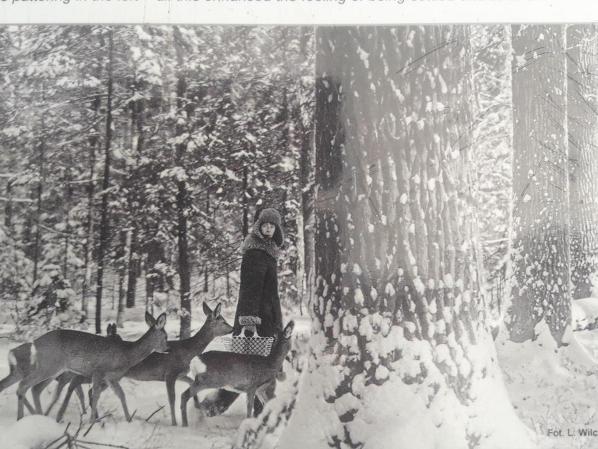 In Nature Białowieża Екстериор снимка